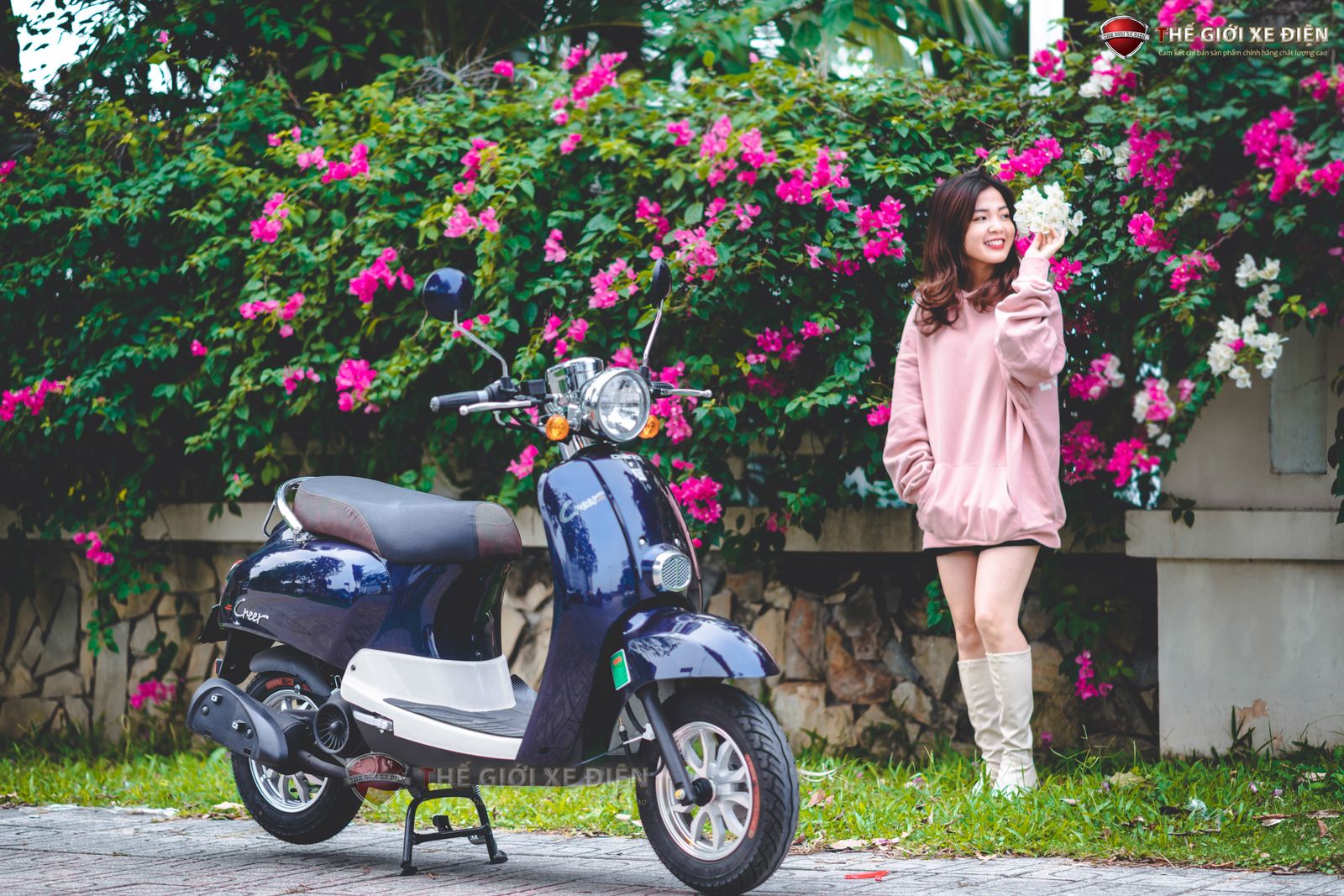 Dibao Creer 50cc: Cần bằng lái hay không? Thủ tục đăng ký và những quy định cần nắm rõ